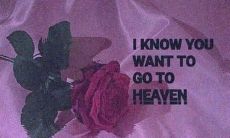 用柔情洒满文字，感动归于心灵深处的营销文案