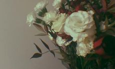 以含蓄深意为特色的特别动人的情话