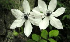 每次想起它都会让人心碎的最令人痛苦的句子