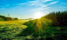 夏季问候短信：精简而充实的表达的好方法！