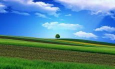 分享——让你每天早上开始一天顺利、阳光的开心句子！