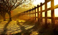 21句抒情的秋季句子，表达对这个美丽季节的热爱和情感寄托