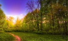 如何通过快乐实现幸福的生活——活着的每一刻都要微笑