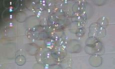 一部充满感恩之情的小说：感恩在每个句子中闪耀