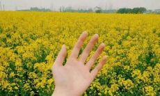 秋季旅游的美好心情：分享开心短语和句子，让你欢喜倍增！