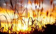 一系列让心情愉悦的英文句子，让您感受到幸福和快乐