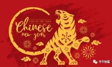 深入了解2022年虎年的吉祥语，传统文化对当代生活的启示和影响