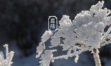 分享霜降的感想，探讨秋季的美丽与变化——有关如何在朋友圈中分享你的霜降体验的建议