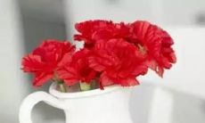 用简短而有力的句子安抚心灵，启示面对变故的智慧与勇气