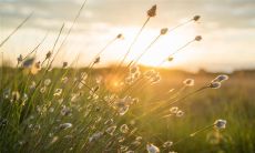 感怀亲情的深刻句子：从亲情中领悟人生真谛