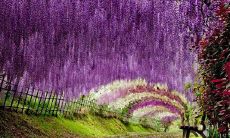 享受每一刻，感受人生乐趣：鼓舞士气的开心语句推荐