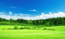 如何在转凉的天气中，给好友发送一条特别问候的群发短信？