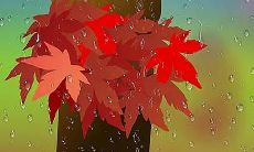 秋日里暮色苍茫，一场静默时分的细雨带来刺骨凉意的琐事回忆