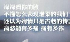 用语言抒发伤感：匠心独运，撰写心碎江南的诗句，沉酣其中，幽情满怀