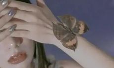 - 备受瞩目的置顶宝藏文案，令人倍感清新纯美