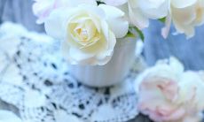 关于家人的美丽语句：令人感动的亲情表达