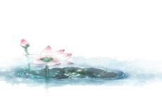 爽朗心情的陶醉古风短文句子大全