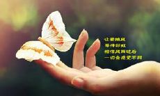 绽放美丽的等待——感人至深的唯美句子分享