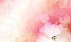 在感恩节向我们的父母和老师表达感激之情的句子，赞美他们为我们撑起的天空、激励我们成长的动力、给予我们温暖的家和带领我们涉足知识海洋的指引