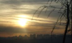 使人沮丧，让人心碎的令人失望的言辞