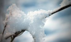 享受寒冬美好时光：拥有优美句子的冬日赏析