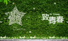 寻回那些感慨万千的青春年华时刻所铸造的思念之句