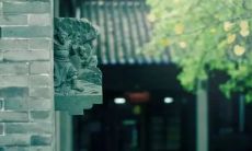 从现实生活中领悟：放下一切的信念，才能真正得到解脱的关于生命感悟的分享