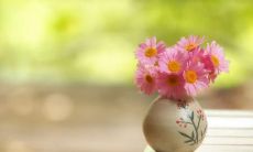 享受朋友相伴带来的无尽欢乐——让你与伙伴一起放松愉悦的口号