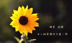 2022年最佳新年朋友圈发文示范：精心编排的文案和句式推荐，让你在社交媒体上更引人瞩目，更加受欢迎！