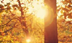 回忆童年：那种让人无法抑制开怀大笑、感觉快乐无边的美好时光