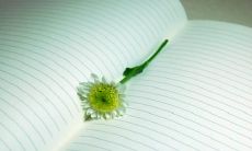 通过描绘面容神态，表达情感深厚的亲情句子