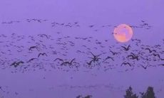 失望心凉的男人：探索男性情感并分享励志句子，唤醒心灵的勇气和希望