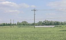 2022年立夏节气之美：一系列精美绝伦的句子，生动描绘立夏的独特之美