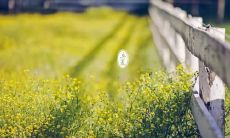 夏日防暑关怀问候短信，用心守护健康舒适的生活！