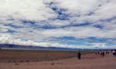 一系列表达开心情感、充满抒情意味的快乐句子