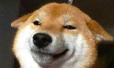 以下是可以立即让你快速开心的语句