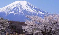 一些有趣和激励的聚餐场合上可以分享的开心句子