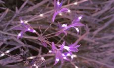 惊心动魄的甜蜜情话，彰显浓浓爱意，超甜超宠暖心温暖人心！