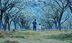 在炎热夏季，探究人类最宝贵的情感——亲情所照亮的细节与经历