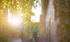 欢乐无穷的语句，让你开怀大笑