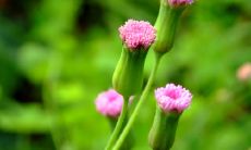 沉浸在阴郁情绪中的人，满怀忧伤和难以启齿的痛苦，似乎无法释怀和摆脱