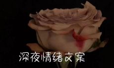 在深夜瞬间击穿心防的 emo 情绪文案