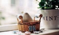 2012年三月，朋友圈中最新的动态——2022年三月的祝福和问候，让我们共同分享和留存美好的说说回忆！