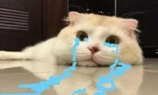 无法启齿的伤心之句