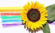 在生命的旅途中，所能听到的最为珍贵的言辞，莫过于那刻骨铭心的亲情呼唤