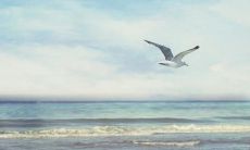 欢乐洋溢，笑容灿烂如阳光，传递无限开心与快乐的美好句子