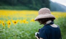 一份献给自己的美丽句子：探索内心深处的美妙词语与想象力的创造力