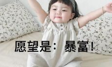 追求高级及沙雕娱乐风格的生日祝福语句集合！