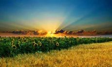 富有激情的英语跑步口号，鼓励你在赛道上挑战极限！