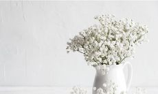 纠结不已的内心所表达的混乱与焦灼之情的长句子